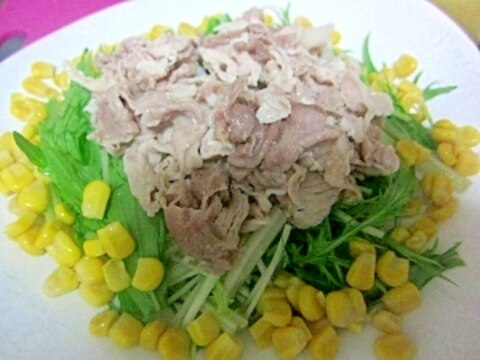 夏バテ対策！豚肉のサラダ